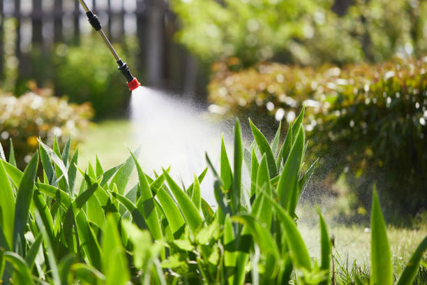 Tamper-Resistant Bait Stations for Rodents in Conesus Lake