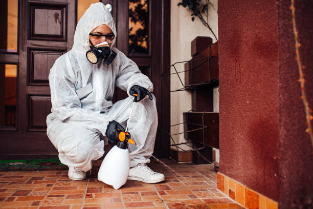 Attic and Crawl Space Rodent Treatment in Conesus Lake