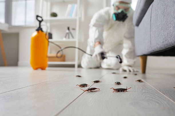 Commercial Rodent Management in Conesus Lake